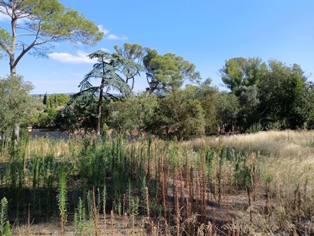 Terrain vente à Montpellier, Cournonterral