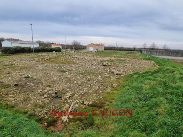 Terrain vente à Fontenay-le-Comte, Château-guibert