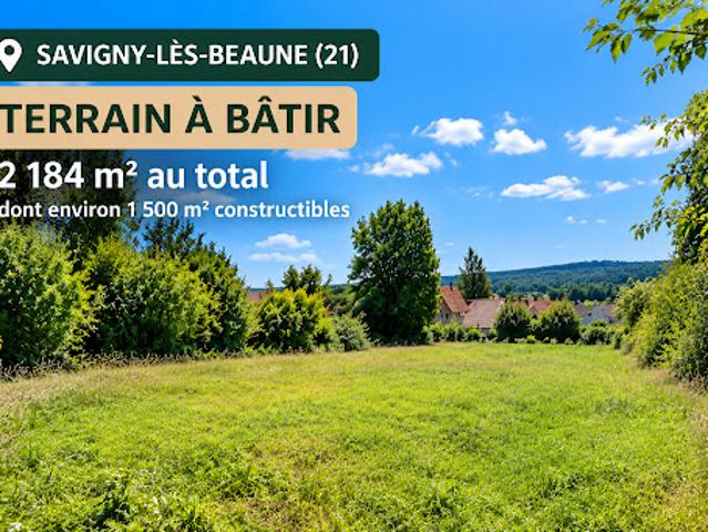 Terrain vente à Savigny-lès-Beaune, Côte-d'Or
