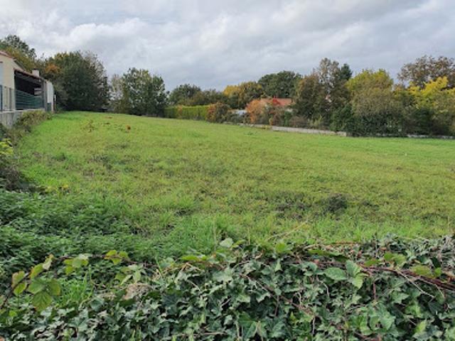 Terrain vente à La Roche-sur-Yon, L'oie