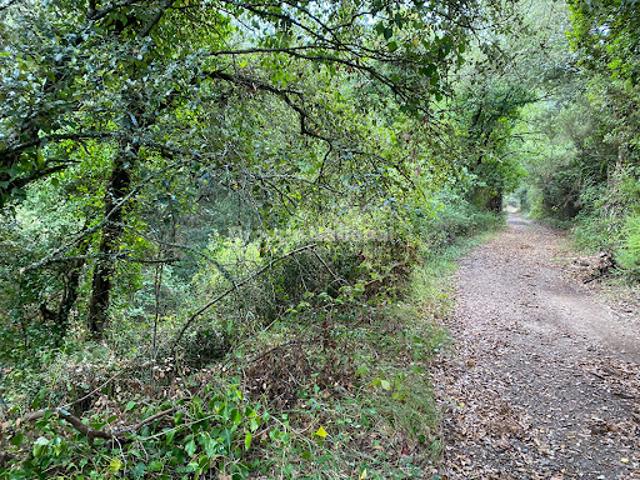 Terrain vente à La Grand Pièce, Le Cannet-des-Maures