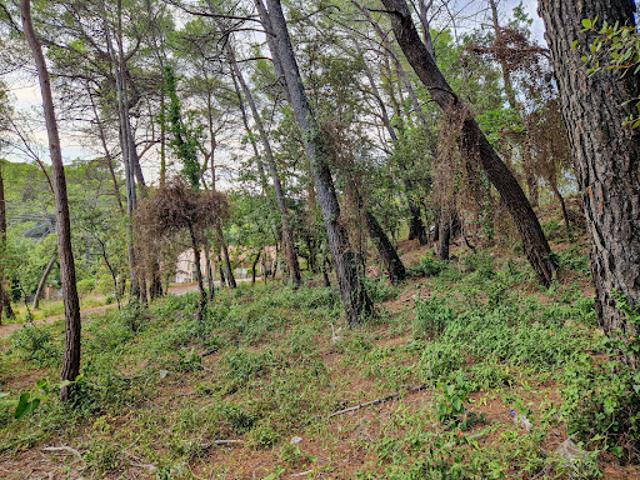 Terrain vente à Arrondissement de Draguignan, Flayosc
