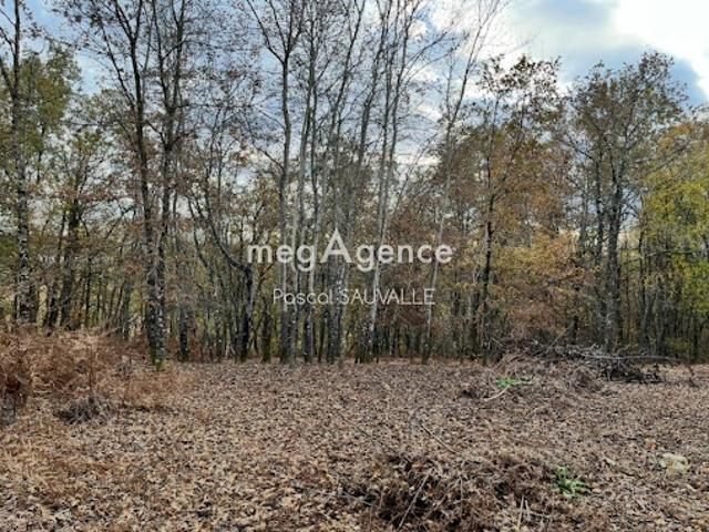 Terrain vente à France métropolitaine, Saint-michel-de-villadeix