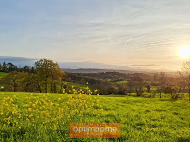 Terrain vente à Oloron-Sainte-Marie, Sauveterre-de-béarn