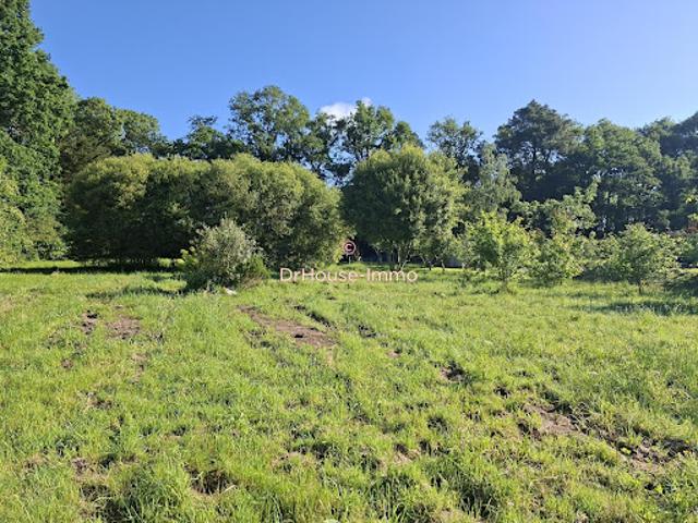 Terrain vente à Châteaubriant-Ancenis, Massérac
