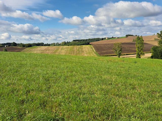 Terrain vente à Montauban, Montpezat-de-quercy