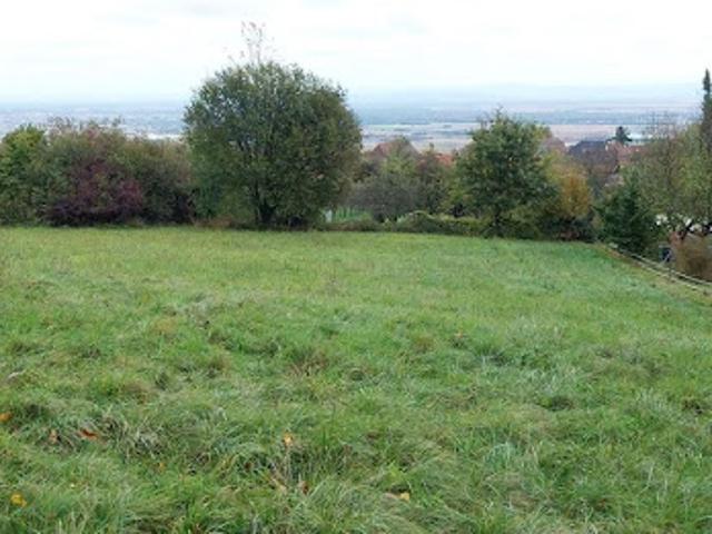 Terrain vente à Colmar-Ribeauvillé, Husseren-les-châteaux