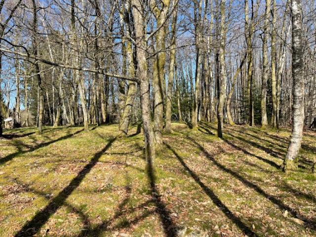 Terrain vente à Limoges, Ambazac