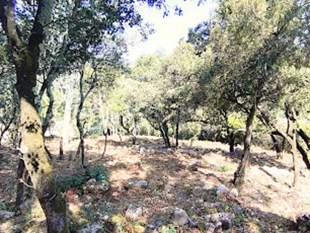 Terrain vente à Solliès-Toucas, Var