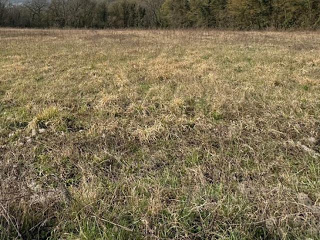 Terrain vente à Montreuil-aux-Lions, Aisne