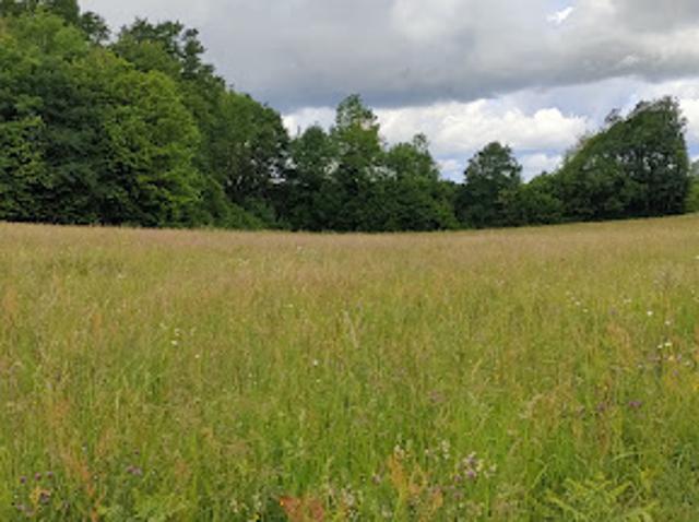 Terrain vente à Brive-la-Gaillarde, Juillac