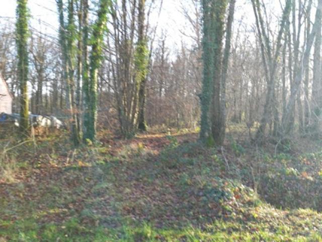 Terrain vente à Le Ratelet, Saint-Hilaire-les-Andrésis