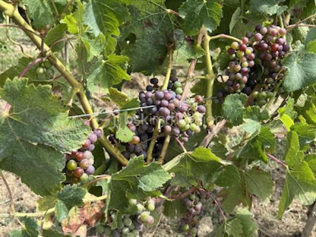 Terrain vente à France métropolitaine, Fours