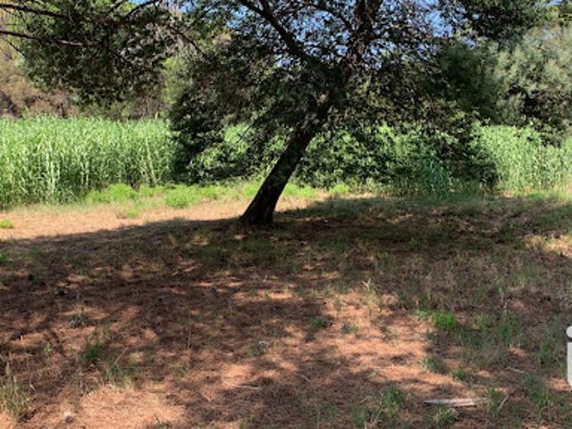 Terrain vente à Arrondissement de Draguignan, Fréjus