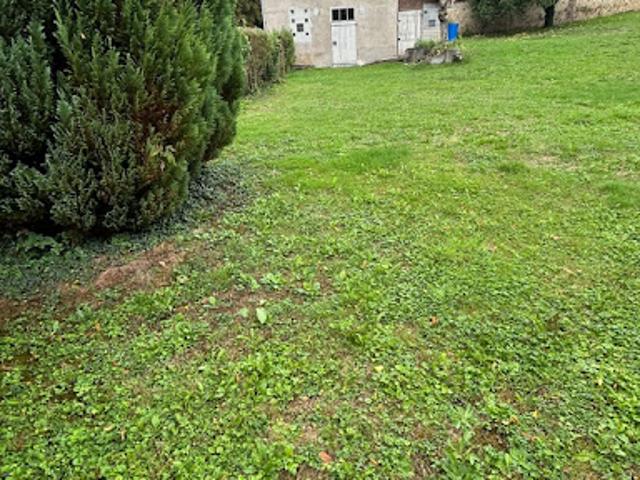 Terrain vente à Auxerre, Bléneau