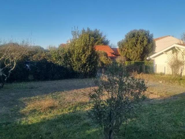 Terrain vente à Bordeaux, Les Pins-Francs