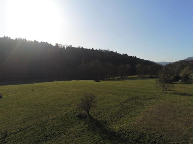 Terrain vente à Sélestat-Erstein, Saint-martin