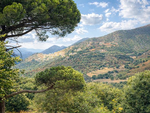 Terrain vente à Calvi, Occhiatana