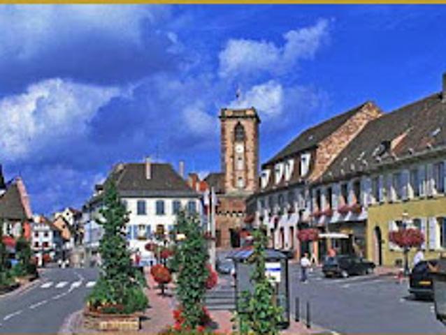 Terrain vente à Wasselonne, Collectivité européenne d'Alsace