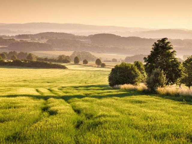 Terrain vente à La Norville, Essonne