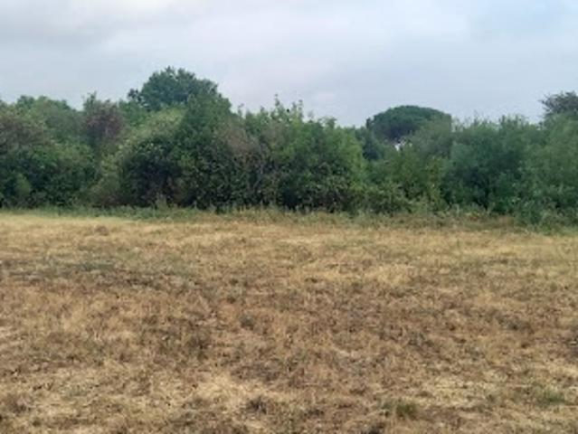 Terrain vente à Narbonne, Embres-et-castelmaure