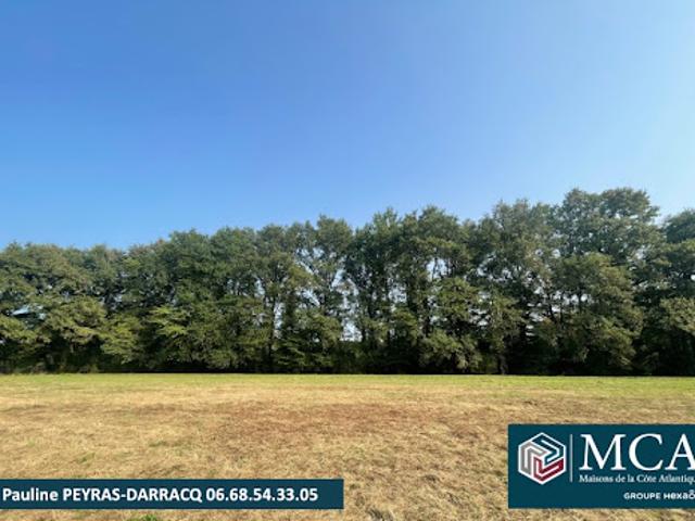 Terrain vente à Vielle-tursan, Landes