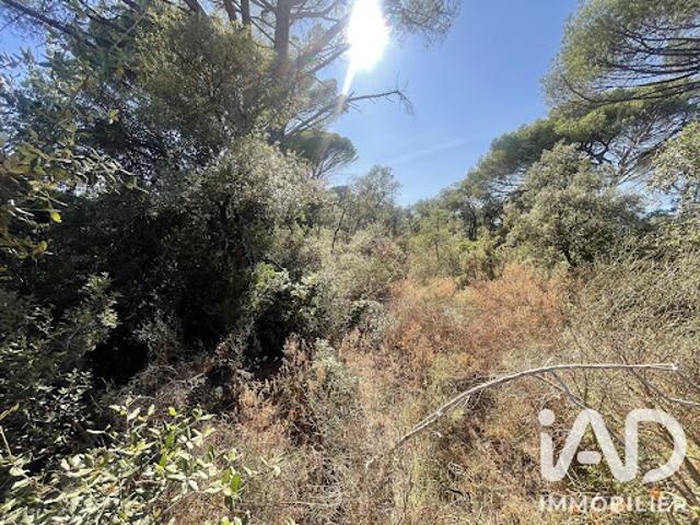 Terrain vente à Brignoles, Le Cannet-des-maures