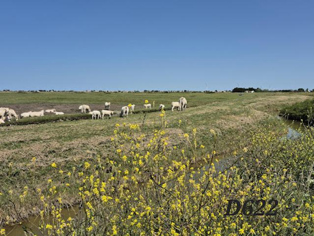 Terrain vente à Les Sables-d'Olonne, Beauvoir-sur-mer