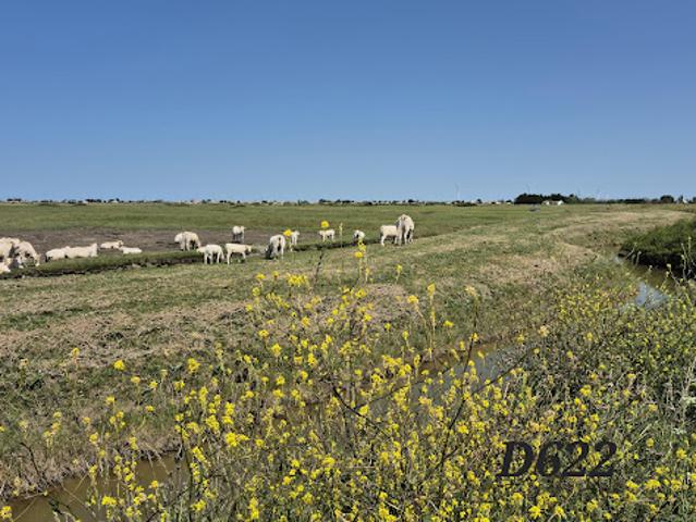 Terrain vente à Les Sables-d'Olonne, Beauvoir-sur-mer