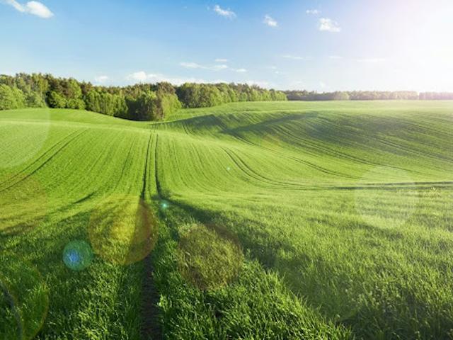 Terrain vente à France métropolitaine, Avrillé