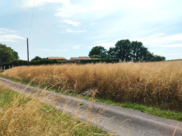 Terrain vente à Jonzac, Nouvelle-Aquitaine