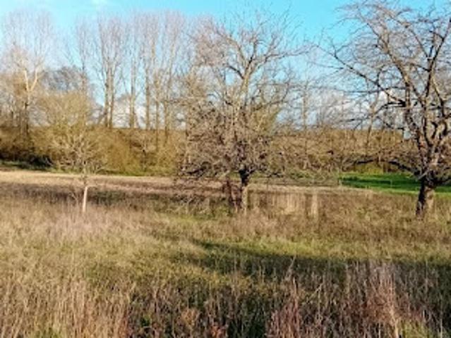 Terrain vente à France métropolitaine, Chadenac