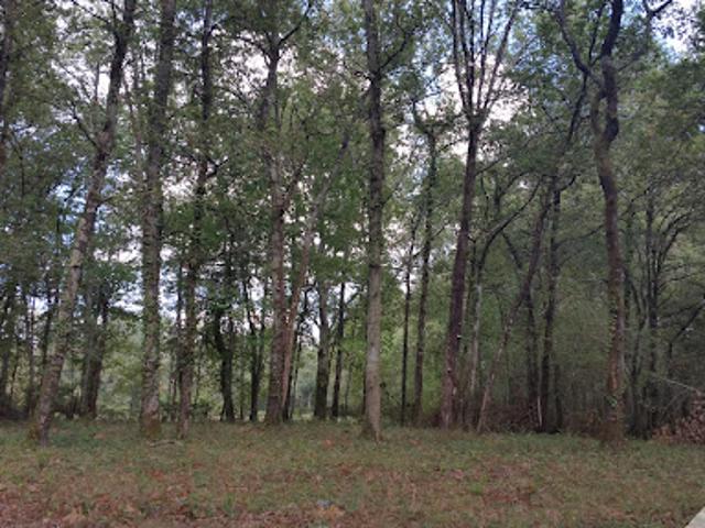 Terrain vente à France métropolitaine, Blanquefort