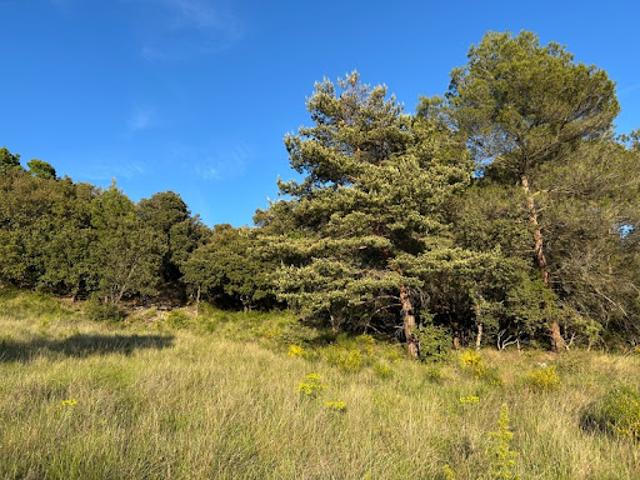 Terrain vente à Brignoles, Baudinard-sur-verdon