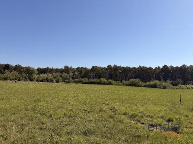 Terrain vente à Arrondissement de Draguignan, Salernes
