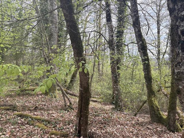 Terrain vente à Périgueux, Sanilhac
