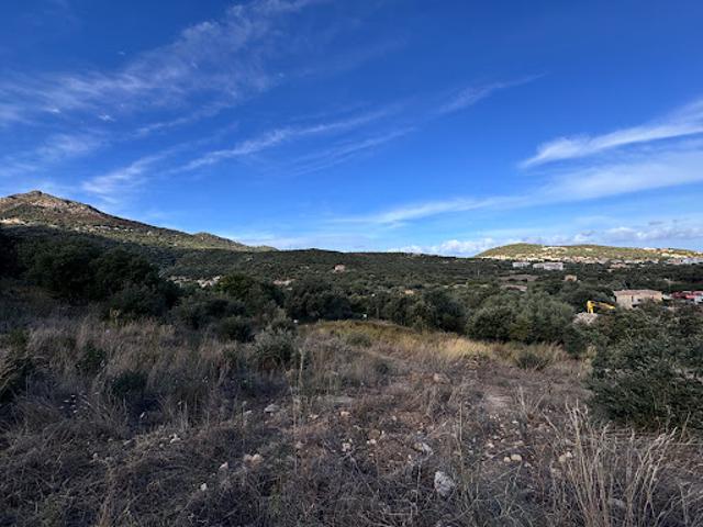Terrain vente à Calvi, Santa-reparata-di-balagna