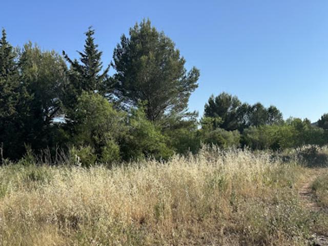 Terrain vente à Arrondissement de Toulon, Cuers
