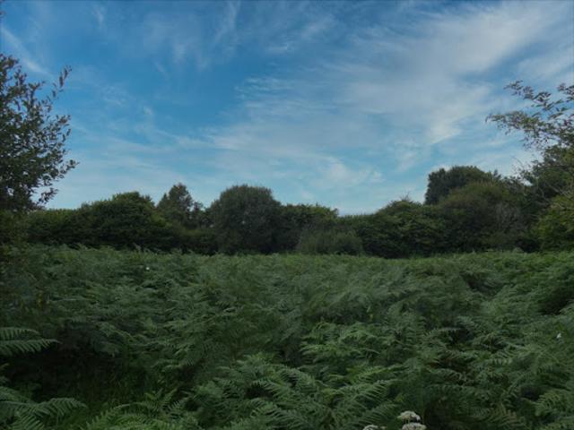 Terrain vente à Châteaulin, Bretagne