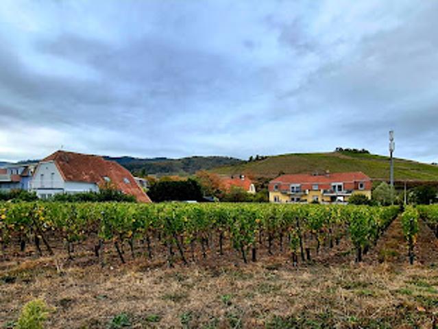 Terrain vente à Turckheim, Collectivité européenne d'Alsace