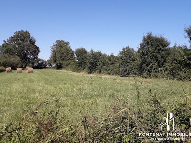 Terrain vente à Fontenay-le-Comte, Vouvant
