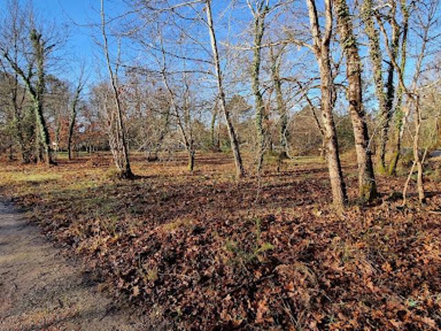 Terrain vente à Mont-de-Marsan, Mézos