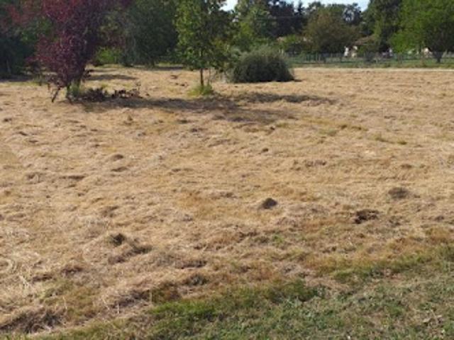 Terrain vente à Lesparre-Médoc, Saint-vivien-de-médoc