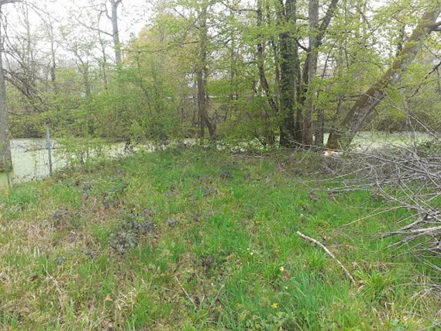 Terrain vente à Nevers, Toury-lurcy