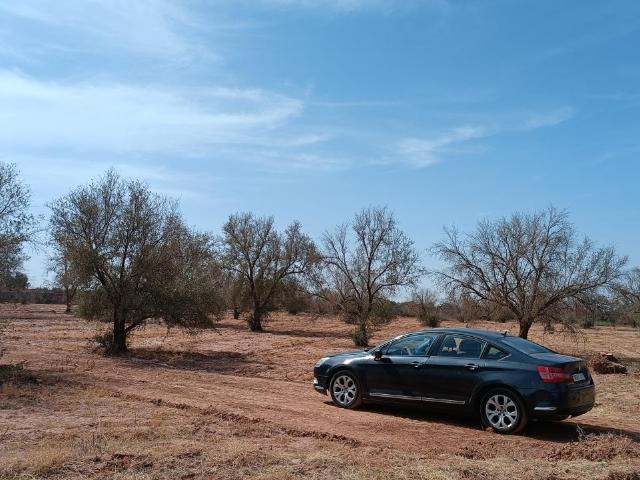 Terrain vente à Tassoultante, L'Oriental