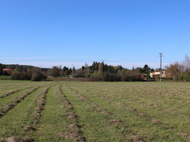 Terrain vente à Marsalès, Dordogne