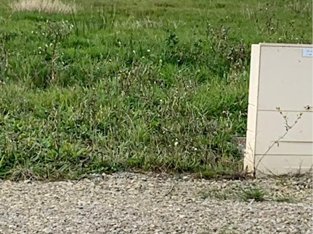 Terrain vente à France métropolitaine, Loire-Atlantique