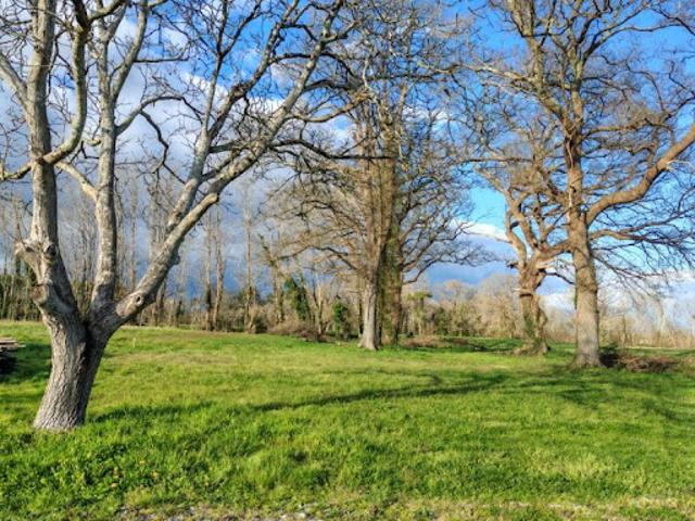 Terrain vente à France métropolitaine, Hinx