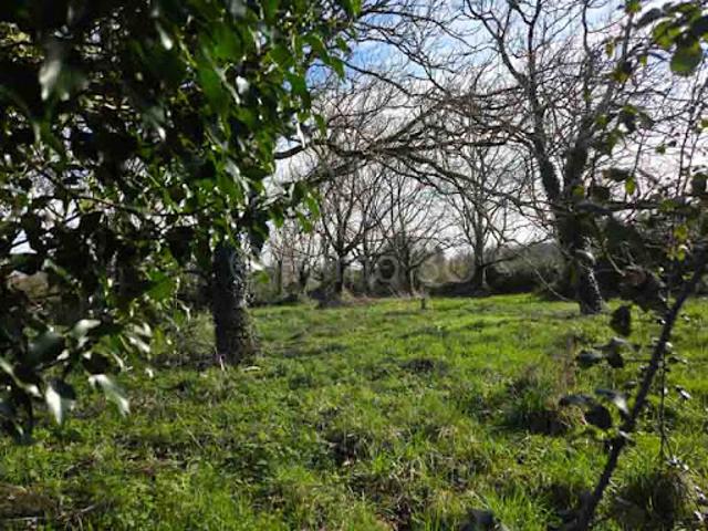Terrain vente à Niort, Sauzé-vaussais