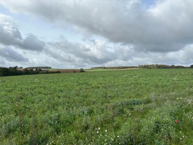 Terrain vente à Thionville, Ottange